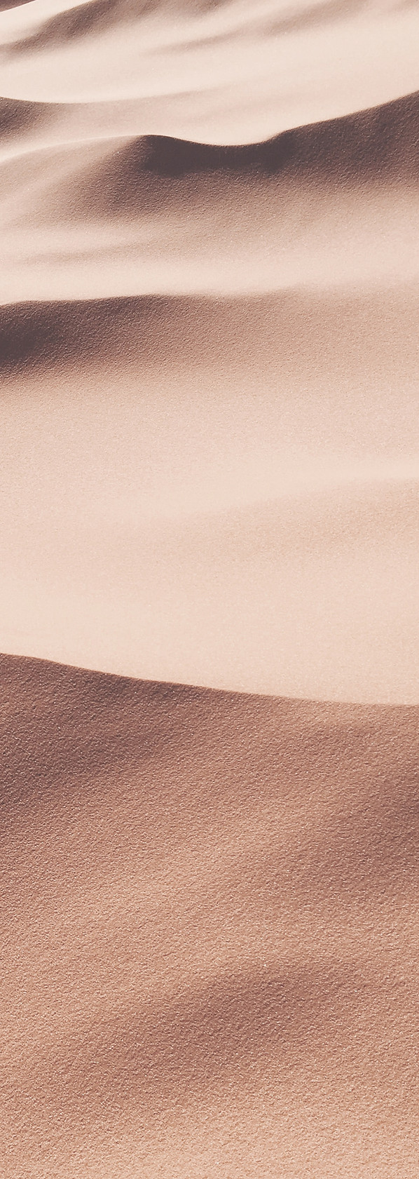 wolfgang-hasselmann-sITRFtDz29Y-unsplash.jpg
